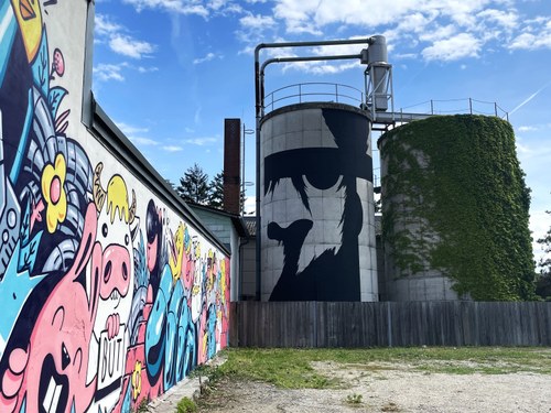 Kunst erleben